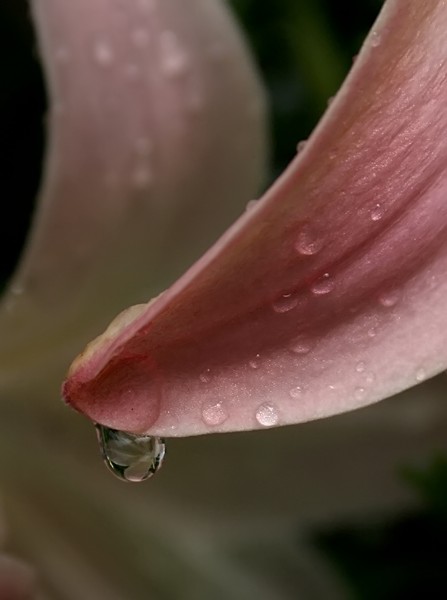 After the Rain