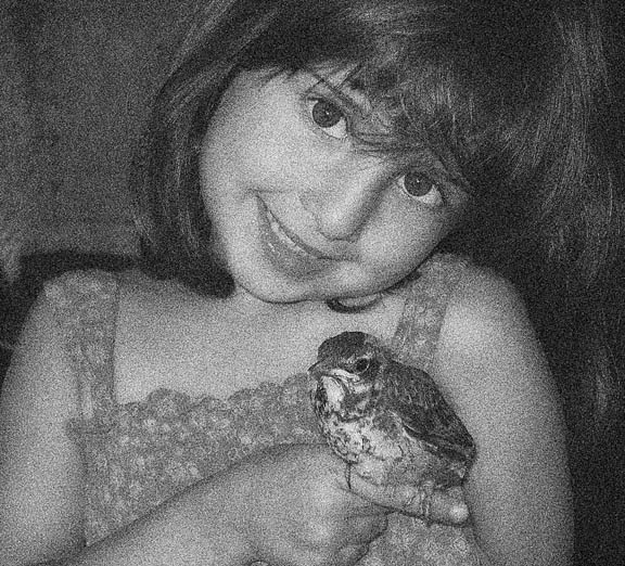 Lily & Chico *