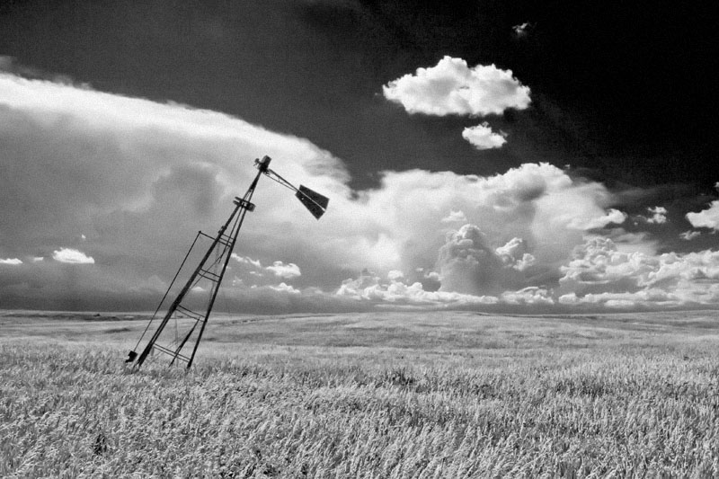 Waves of Grain v.4