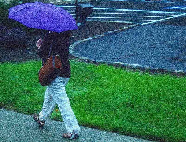 Suburban Umbrella