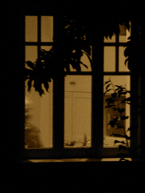 Rear Window  *