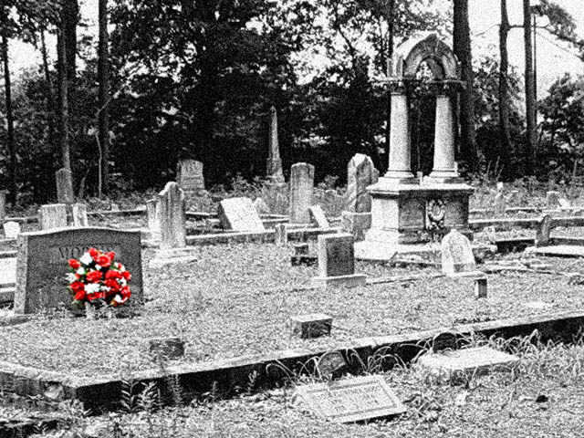Not Forgotten