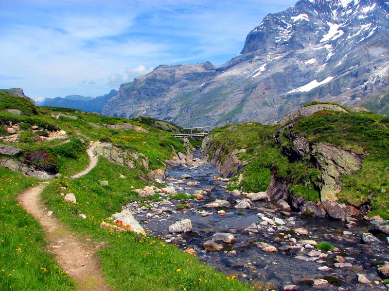 Jungfrau*