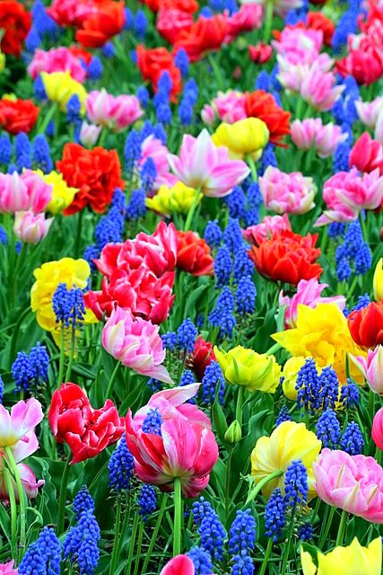 Blast from Spring Past*
