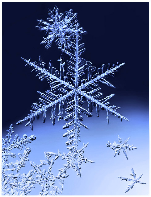 Snowflake Melee