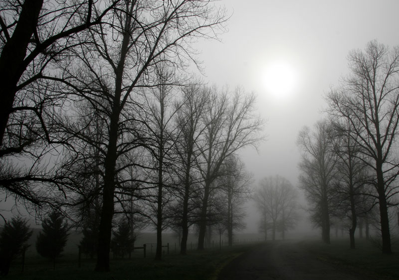 Wrapped in Cloud