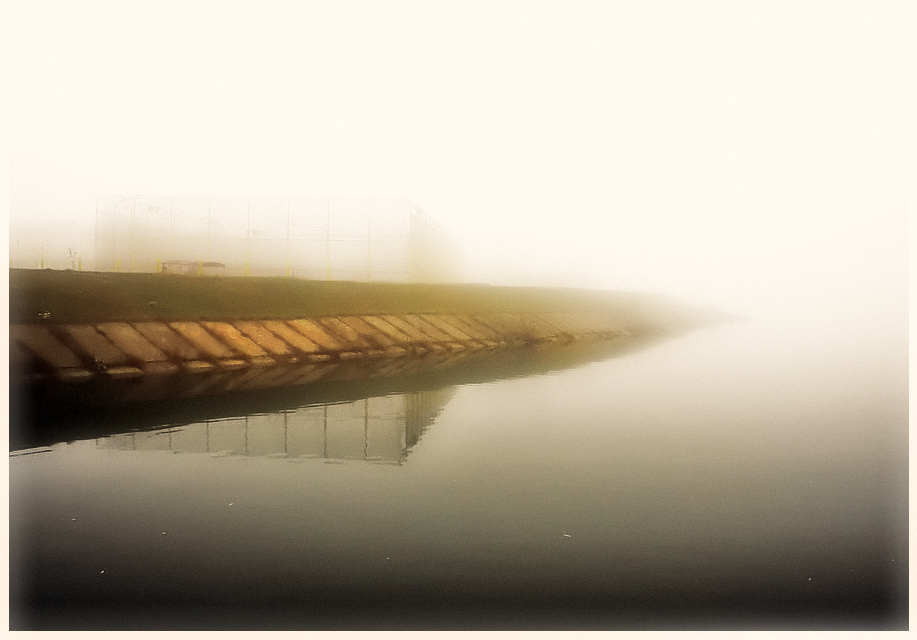 fog
