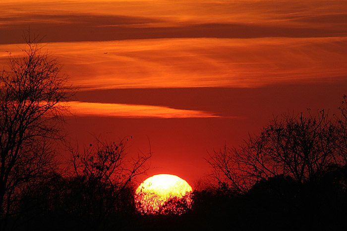 Ball of fire