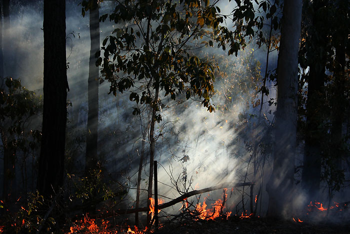 <b>4th:</b>The Fire<br>by Rod