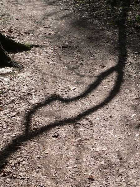 shadow*