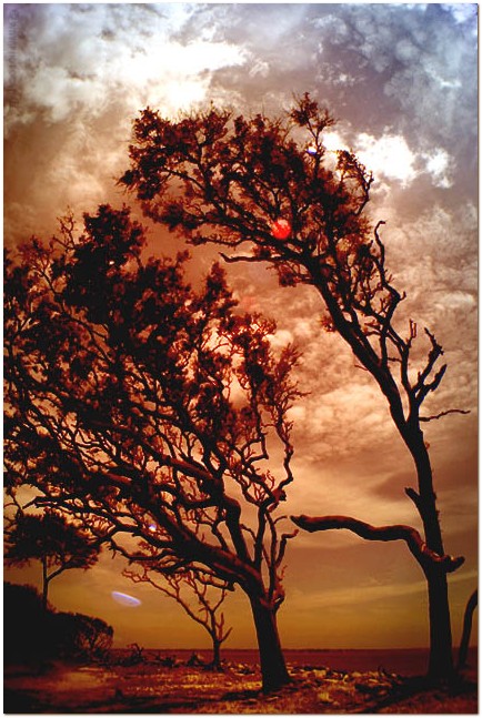 8th: Humbled by wind<br>by Cat