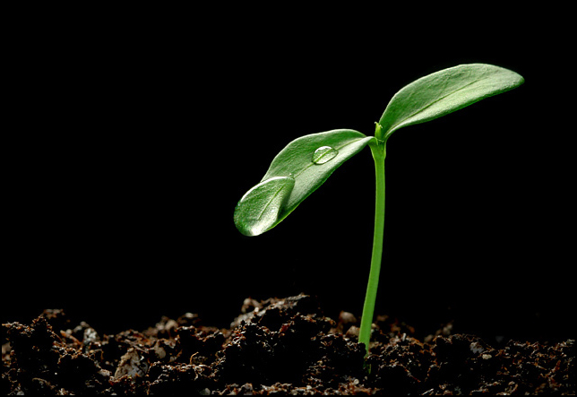 *Earth - New Life
