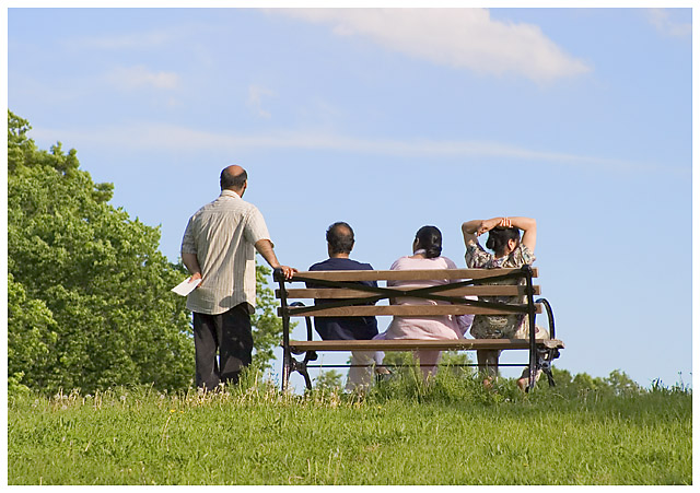 Park Bench