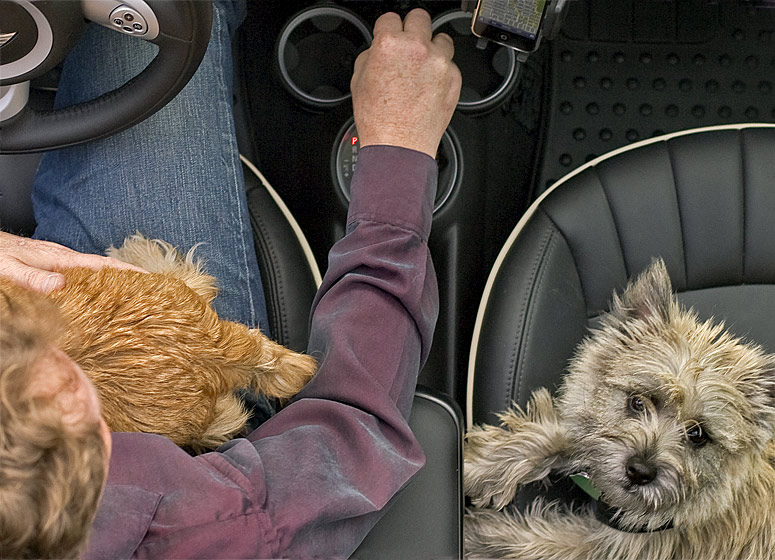 9th: Whos in the Drivers Seat by Brent