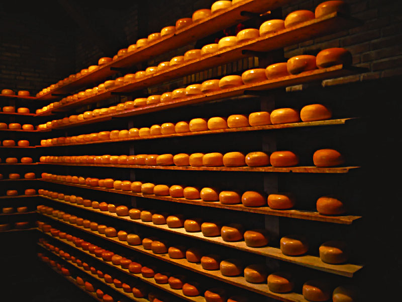 CHEESE!
