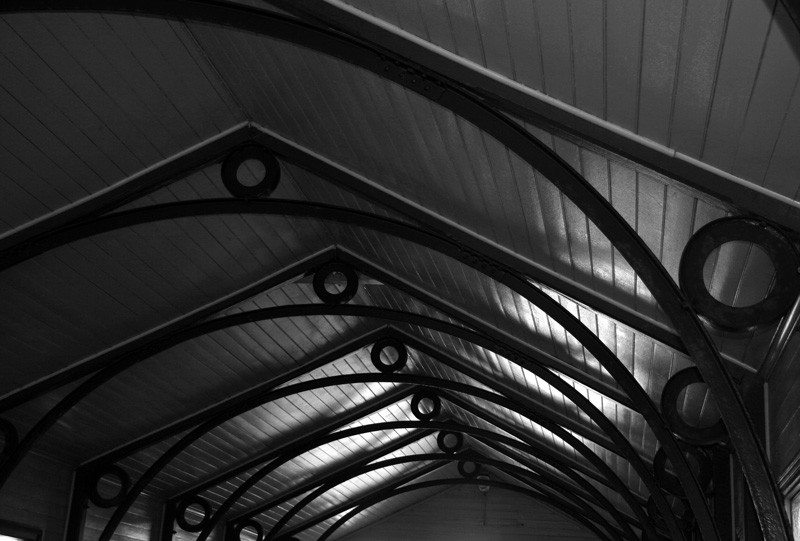 Circles and Lines