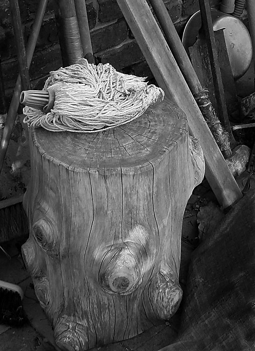 Mop