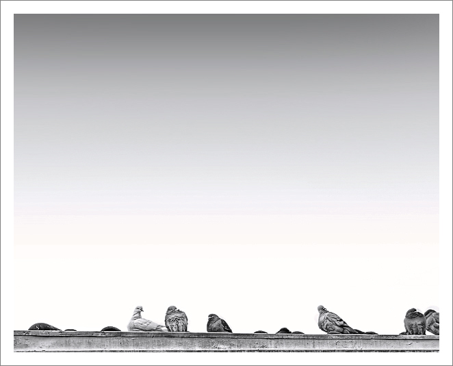 10th - Perch Top by Techo
