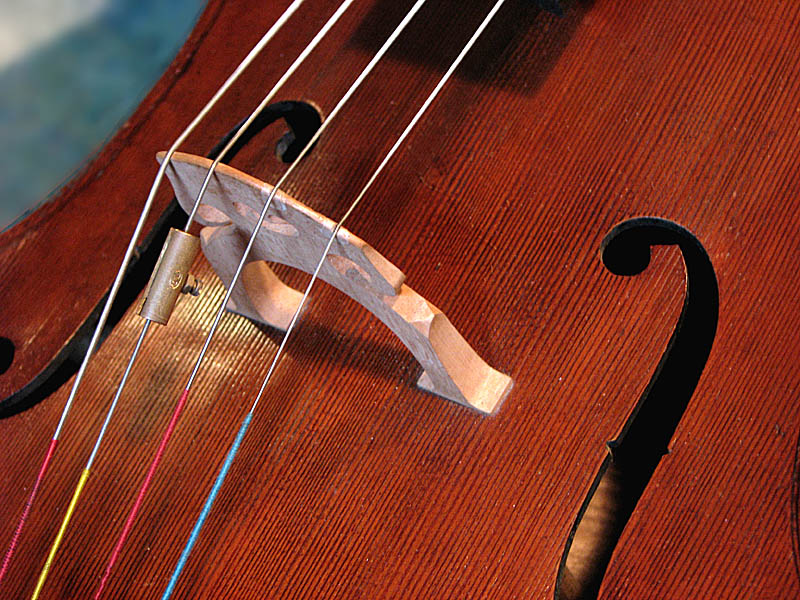 9th(tie) - CELLO <br> by Penny Street
