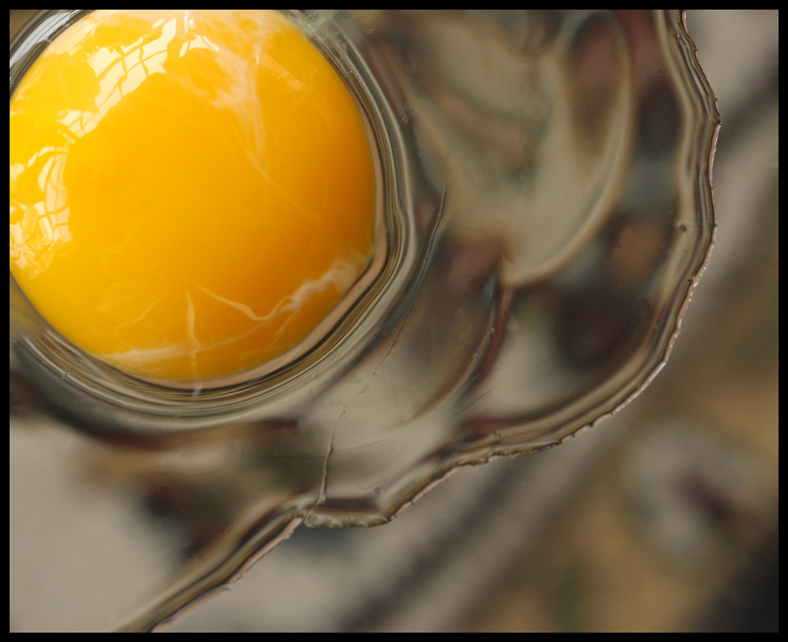--  Egg   --