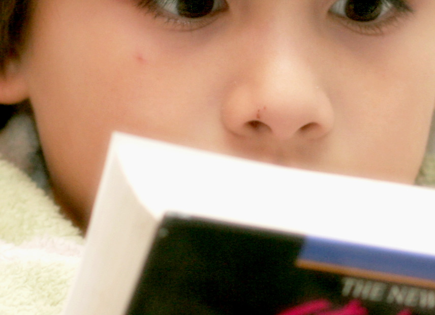 Reader