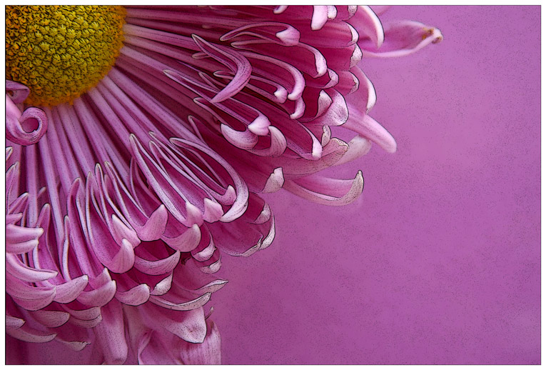 <b>4th</b> - The Edge of Beauty <br>by Lydia too
