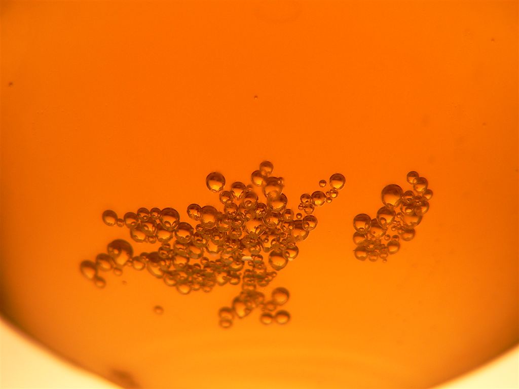 beer**