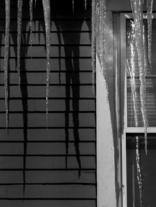 Icicles 1