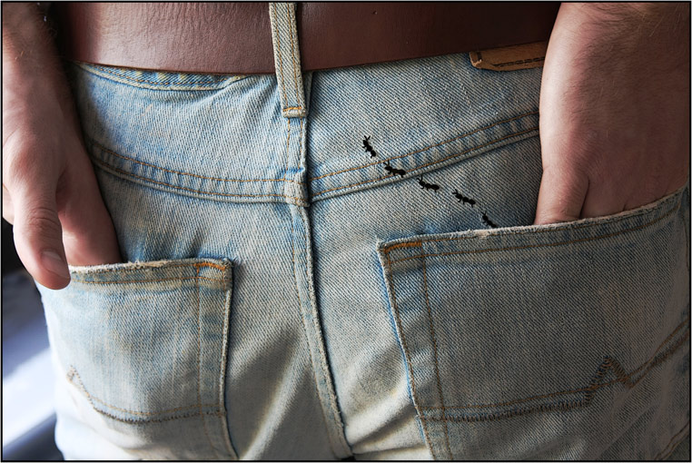 Ants in your Pants