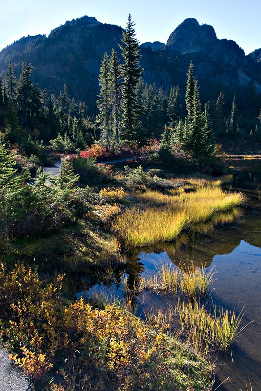 9th Place Tie - Hot colors on a cool fall day by Ann Chaikin