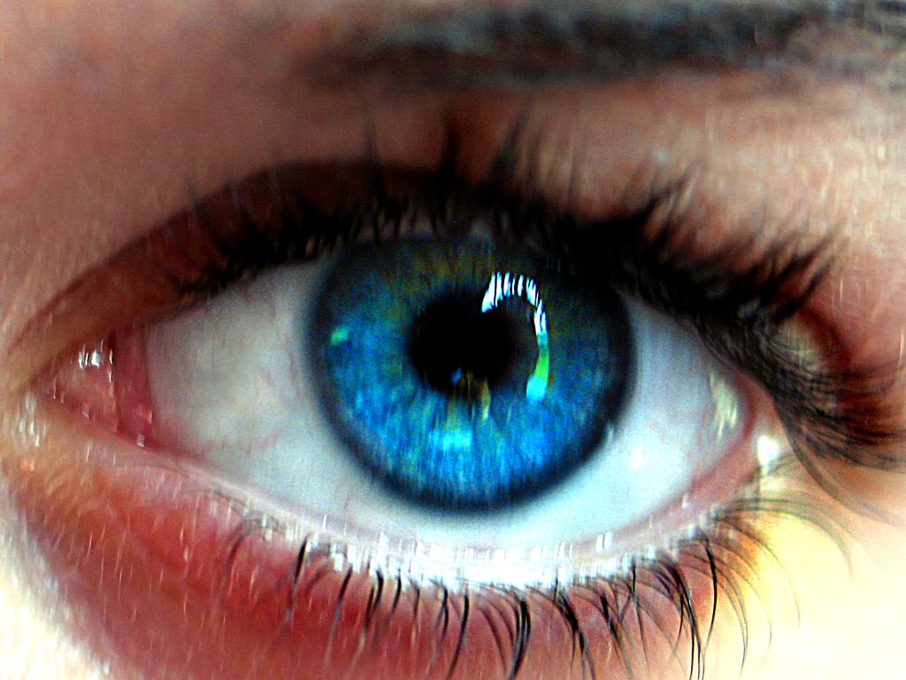 Eye