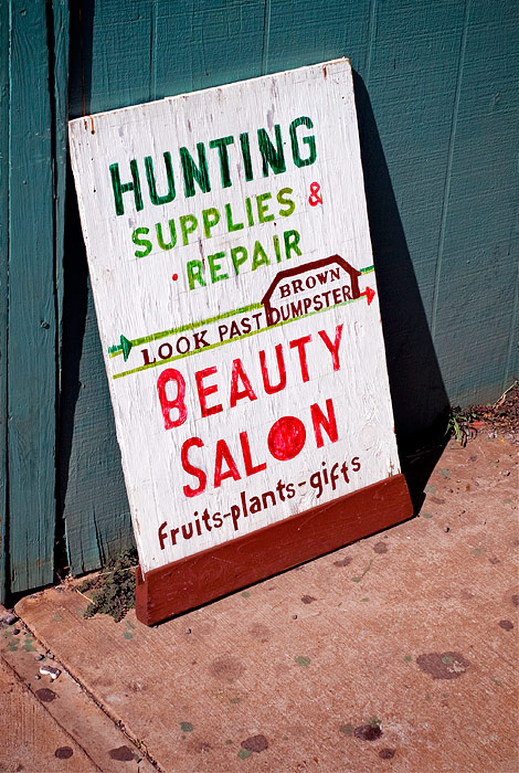 Hunting for Beauty