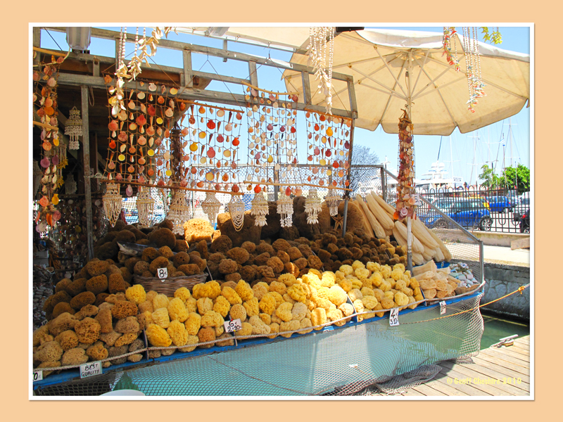 Shell stall