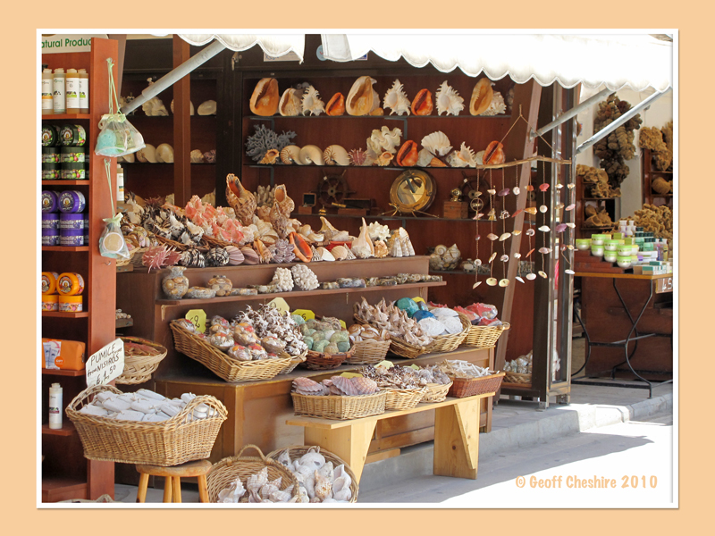 Shells and sponges