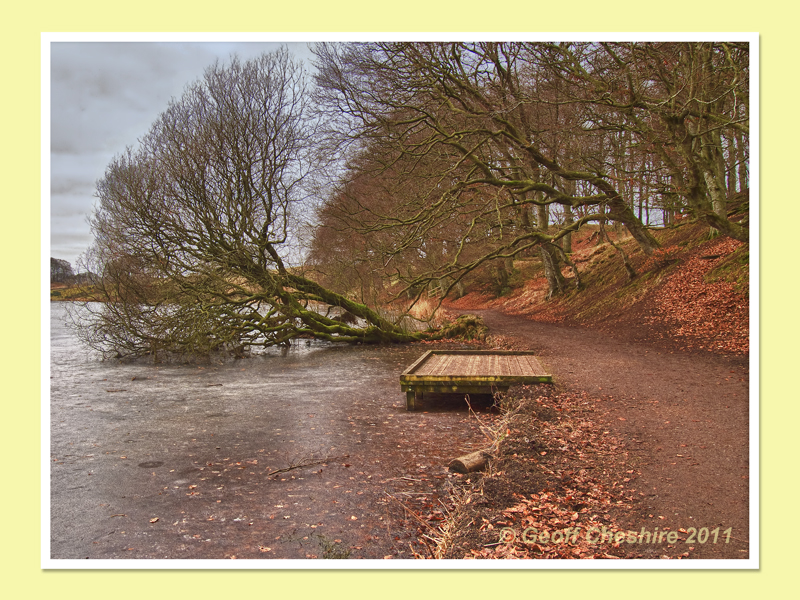 Lakeside Footpath : Talkin Tarn (HDR)
