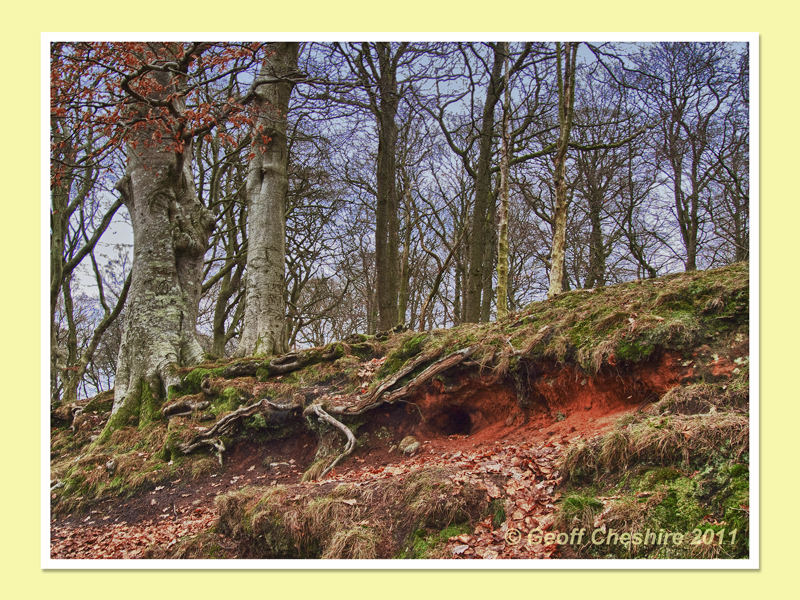 In a hole in the ground .... : Talkin Tarn (HDR)