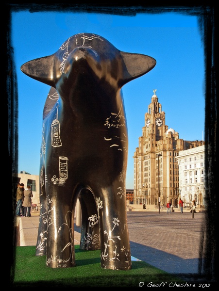 Superlamb banana at the Pier Head