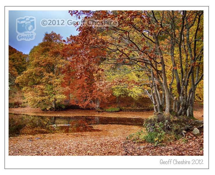 Autumn Colours at Loch Faskally, Pitlochry (5)