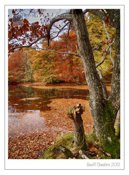 Autumn Colours at Loch Faskally, Pitlochry (6)