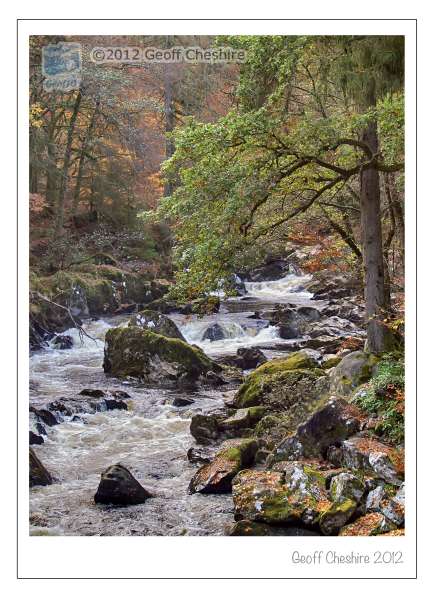 The Hermitage, Dunkeld (2)