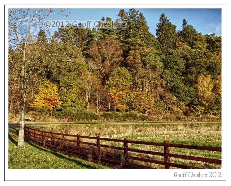 Autumn Colours at Pitlochry (4)