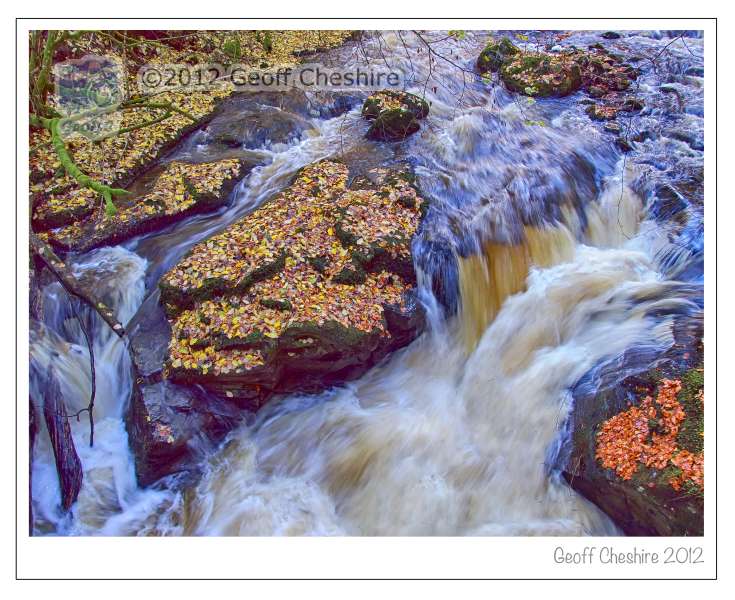 The Birks of Aberfeldy (2)