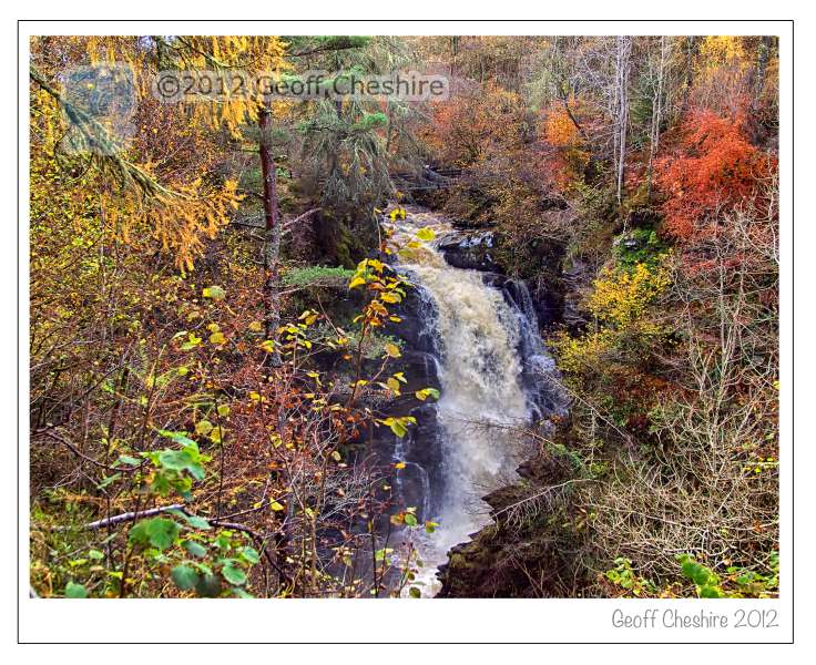 The Birks of Aberfeldy (7)