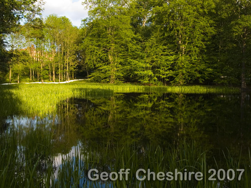 Bramshill small lake