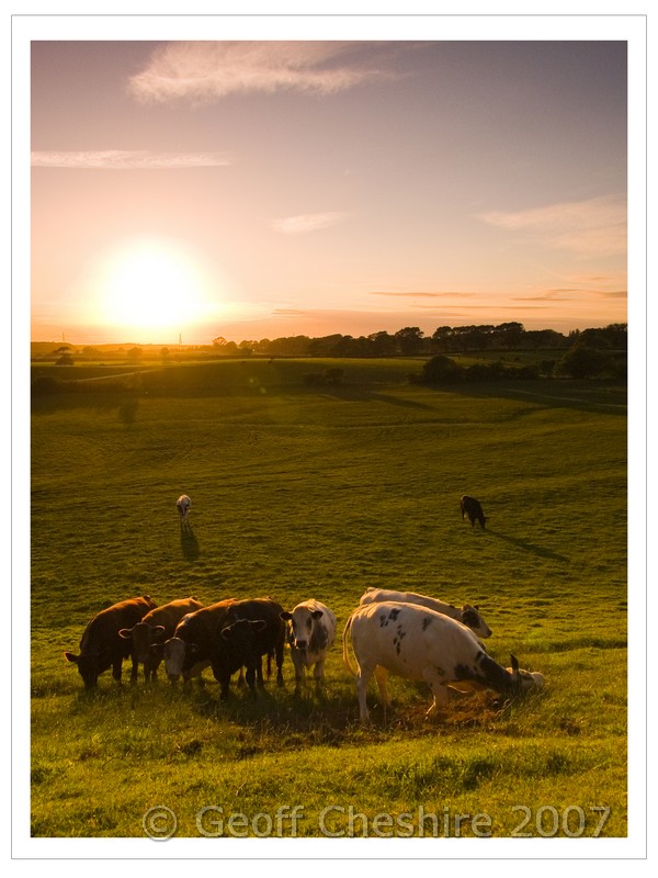 Sunset over the fields (2)