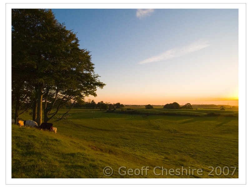Sunset over the fields (4)