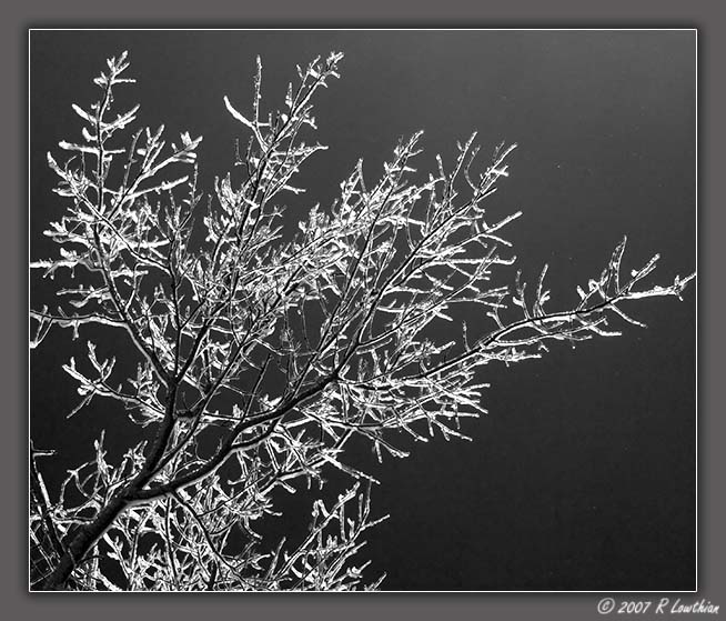 PB-BW-IMG_3888 copy.jpg