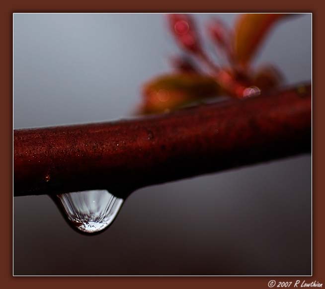 Water Drop