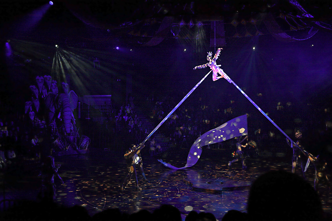 Festival of the Lion King