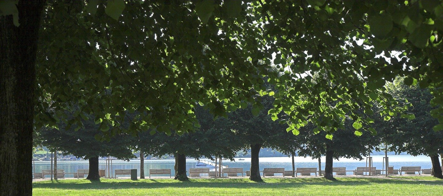 Mondsee Lakefront